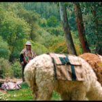 Alpaca Walk & Natural Dye Tour: A Memorable Full Day Experience - The Sum Up: A Truly Authentic Day in the Sacred Valley