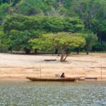 Alter do Chão: Arapiuns River and Urucureá Village Boat Tour - Practical Details and Tips for Travelers