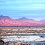 Altiplanic Lagoons & Piedras Rojas Tour from San Pedro de Atacama - Practical Details and Value