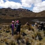 Amazing Cajas National Park Tour from Cuenca - Why This Tour Offers Great Value