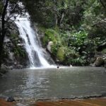 Amazing full day tour to Minca with a private guide - Who This Tour Is Perfect For