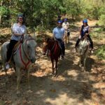 Amazing Horseback Riding in the tropical forest - Analyzing the Value and Experience