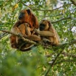 Amazon 2 days 1 night - What Makes This Tour Stand Out