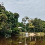 amazon adventure 4 days 3 nights - Day 1: Dolphin Watching and Night Walks