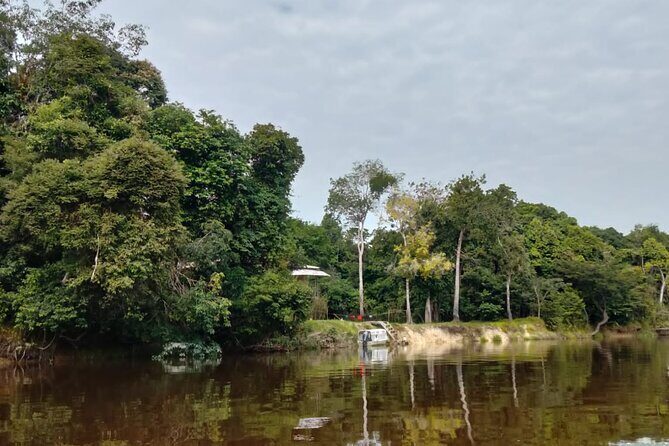 amazon adventure 4 days 3 nights - Day 1: Dolphin Watching and Night Walks