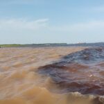 Amazon Adventure Trip 4D/3N at Tapiri Rio Negro Lodge - Why Choose This Tour?