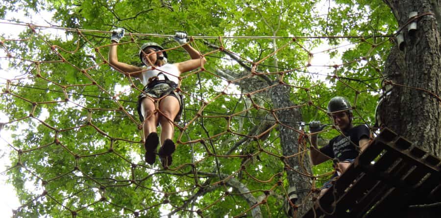 Amazon Jungle 3-Hour Tree Climbing Activity - Who Will Love This Tour?