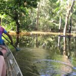 Amazon Jungle Experience with Overnight - Why This Tour Offers Great Value