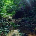 Amazon Jungle Night Hike - The Value of the Experience