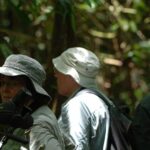 Amazon Jungle Tour 3 days - Day 3: The Final Wildlife Encounters and Return to Cusco
