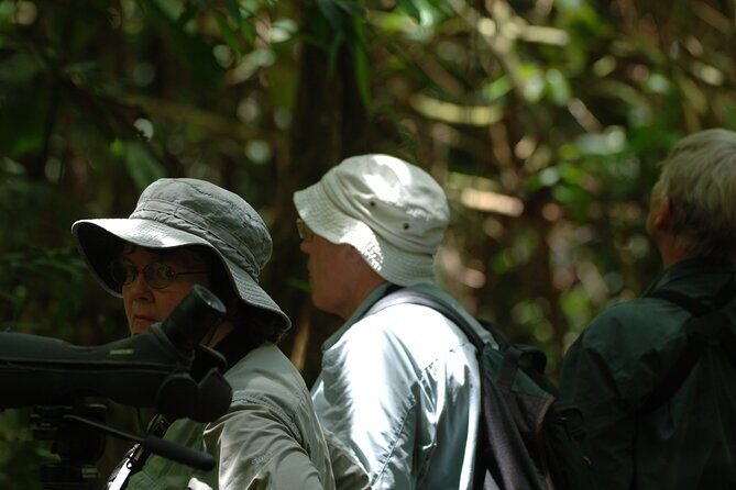 Amazon Jungle Tour 3 days - Day 3: The Final Wildlife Encounters and Return to Cusco