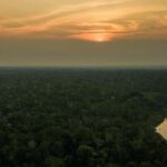 Amazon Rainforest 5 Day Tour - Overview of the 5-Day Amazon Rainforest Tour