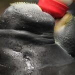 Amazon Rescue Center - Manatees Conservation Center Admission Ticket - Who Should Visit the Amazon Rescue Center?