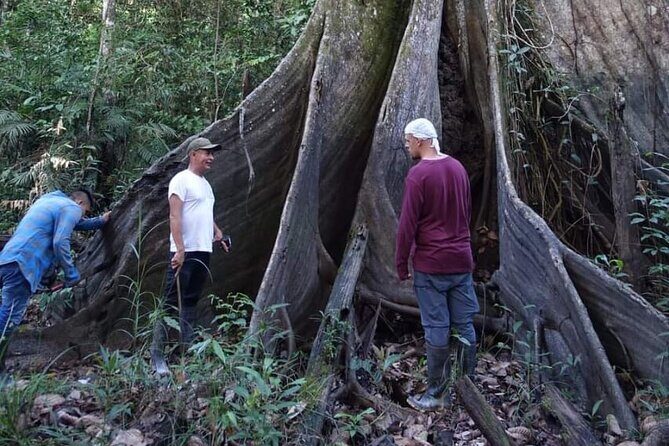 Amazon tour adventure 3/ Days 2/ Nights 450 usd - What’s Included and What’s Not