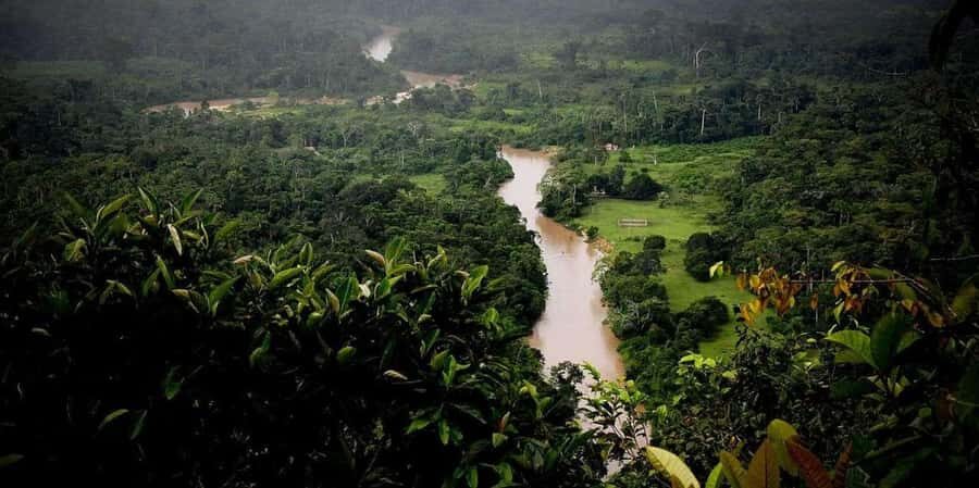 AMAZON TOUR MANU CULTURAL AREA 3D  2N - Why This Tour Offers Great Value