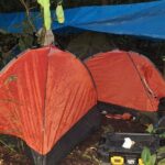 Amazon Untamed Expedition 3 Days and 2 Nights pacaya samiria - Analyzing the Experience: Pros and Cons