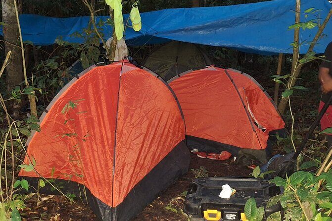 Amazon Untamed Expedition 3 Days and 2 Nights pacaya samiria - Analyzing the Experience: Pros and Cons