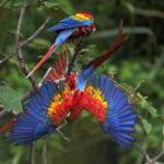 Amazonas Manu Cultural Zone 4 Days / 3 Nights - Final Thoughts