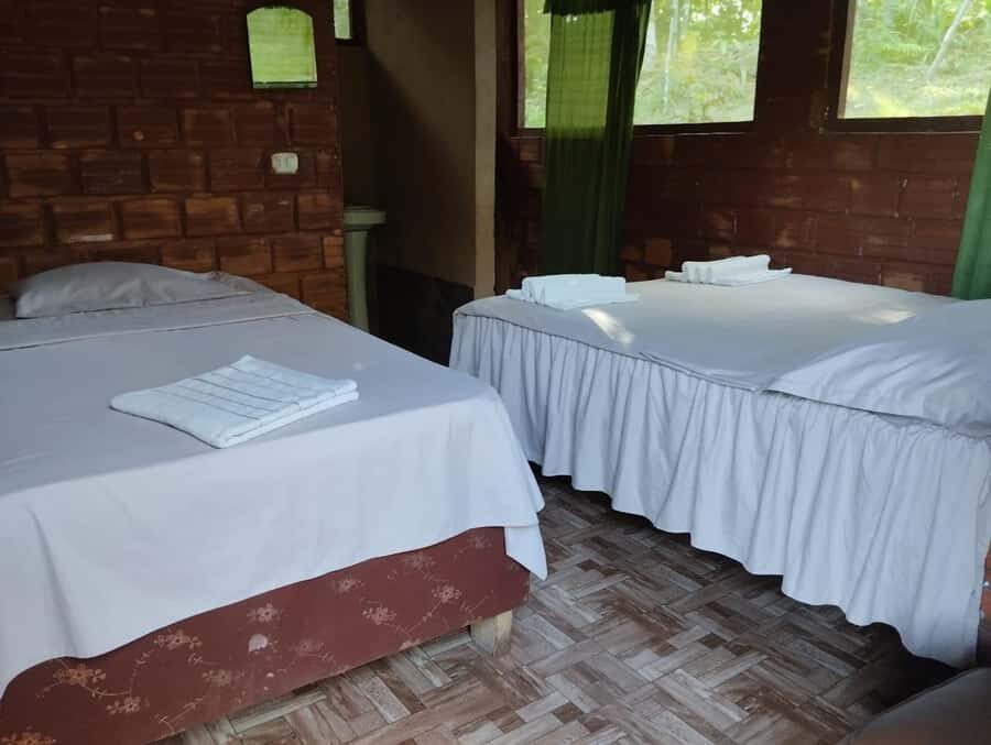 Amazonian Wonder, 2 days 01 night in lodge - Final Thoughts