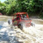 Amber Cove Buggy Tour with Swimming and Tasting - How Does the Price Reflect the Experience?