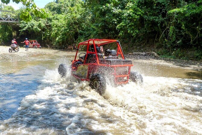 Amber Cove Buggy Tour with Swimming and Tasting - How Does the Price Reflect the Experience?