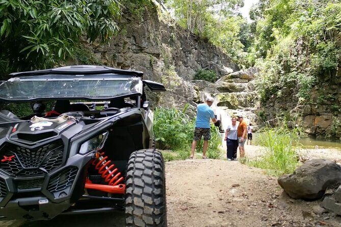 Añasco-Bunny Fever Adventure Experience - What’s Included and What to Expect