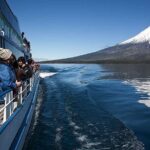 Andean Lakes Crossing Journey from Puerto Varas to Bariloche - What Travelers Say and Why It Matters