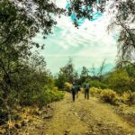 Andes Hike 12k - Private - Final Thoughts: Is This Tour Right for You?