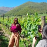 Andes Portillo & Aconcagua Premium vineyard tasting semi private - Scenic Drive on Los Caracoles
