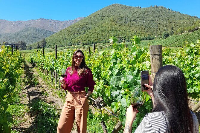 Andes Portillo & Aconcagua Premium vineyard tasting semi private - Scenic Drive on Los Caracoles