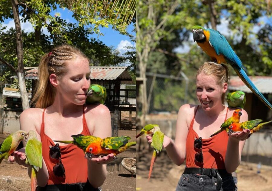 Animal & Bird Farm with Private Transport - What Travelers Say: Authentic Perspectives