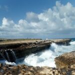 Antigua Eco Island Tour (City, Country, Beach, & Heritage Sites) - What We Loved About This Tour