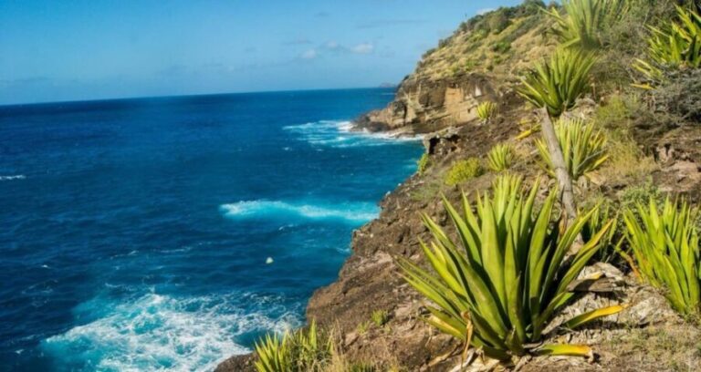 Antigua: Guided Morning and Sunset Hikes - Exploring Antigua’s natural beauty with guided hikes