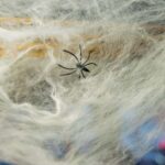 Antigua: Halloween Night Tour - Practical Details and What to Expect