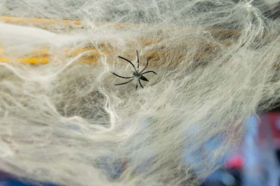 Antigua: Halloween Night Tour - Practical Details and What to Expect