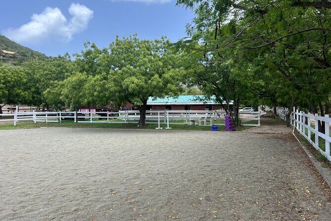 Antigua Horse Ride and Swim - An In-Depth Look at the Antigua Horse Ride and Swim