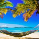 Antigua: The True Antiguan Experience with Lunch & Beverages - Who Will Love This Tour?