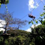 Antigua Zipline Canopy Adventure from St Johns - What Makes This Tour Worth It?