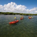Antigua Zipline & Kayaking Combo From St. John's - The Sum Up