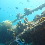 Antilla Shipwreck Seabob Tour - The Sum Up