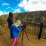 Antisana Volcano Birding & Natural History Condor Tour PRIVATE, all included - A Closer Look at the Antisana Volcano Birding & Natural History Tour
