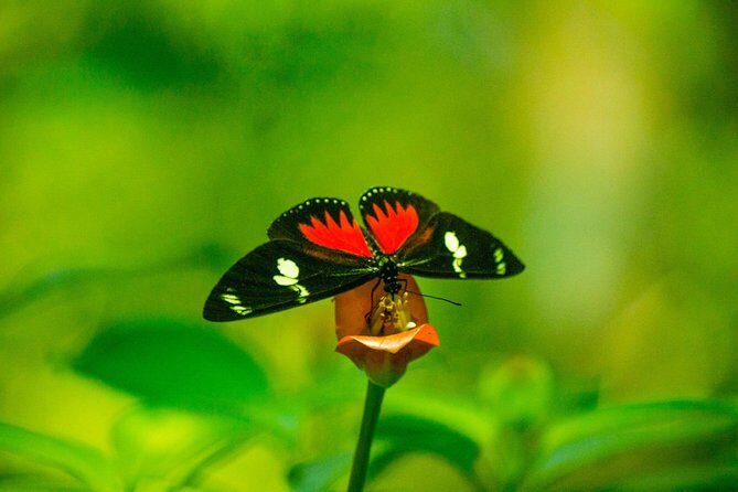 Anton Valley - La india dormida Hike - Exploring the Anton Valley - La India Dormida Hike in Detail