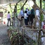 Ants Tour - Hormigas Town - Who Will Love This Tour?