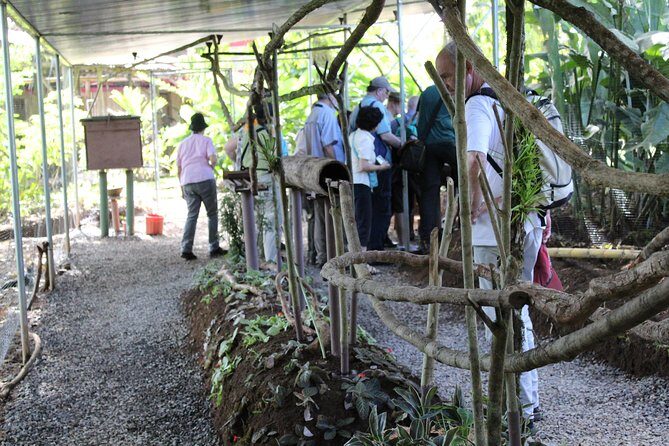 Ants Tour - Hormigas Town - Who Will Love This Tour?