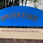 Appleton Estate Rum Tasting and YS Falls - Who Is This Tour Best For?