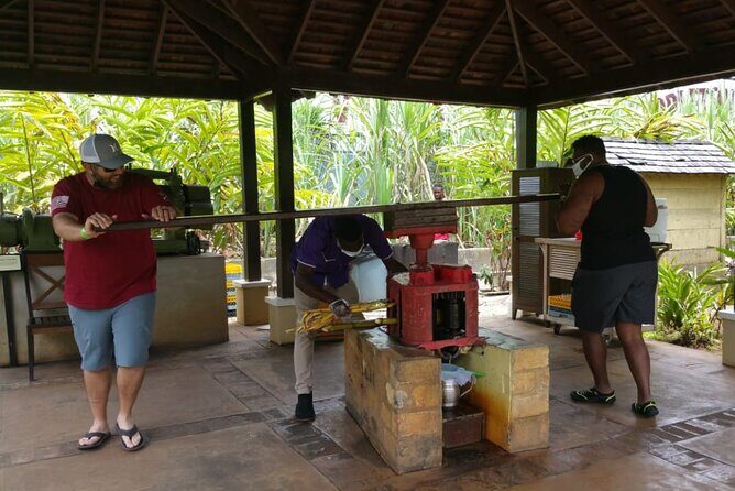 Appleton Estate Rum Tour and Pelican Bar Customize Tour - FAQ