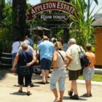 Appleton Estate Rum Tour: Full Day from Montego Bay - Practical Tips for Your Appleton Rum Tour