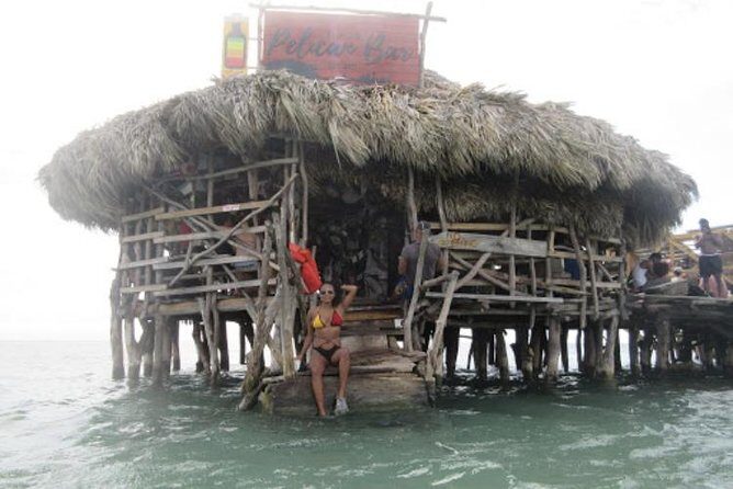 Appleton Estate Rum, YS Falls, Black River Safari / Floyd's Pelican Bar Tour - Exploring the Highlights: What Makes This Tour Special