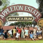 Appleton Estate, Ys Falls and Black River Safari Private Tour - The Sum Up: Is This Tour Right for You?