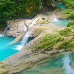 Appleton Estate ,YS Falls, black river Safari private tour - Why This Tour Offers Great Value